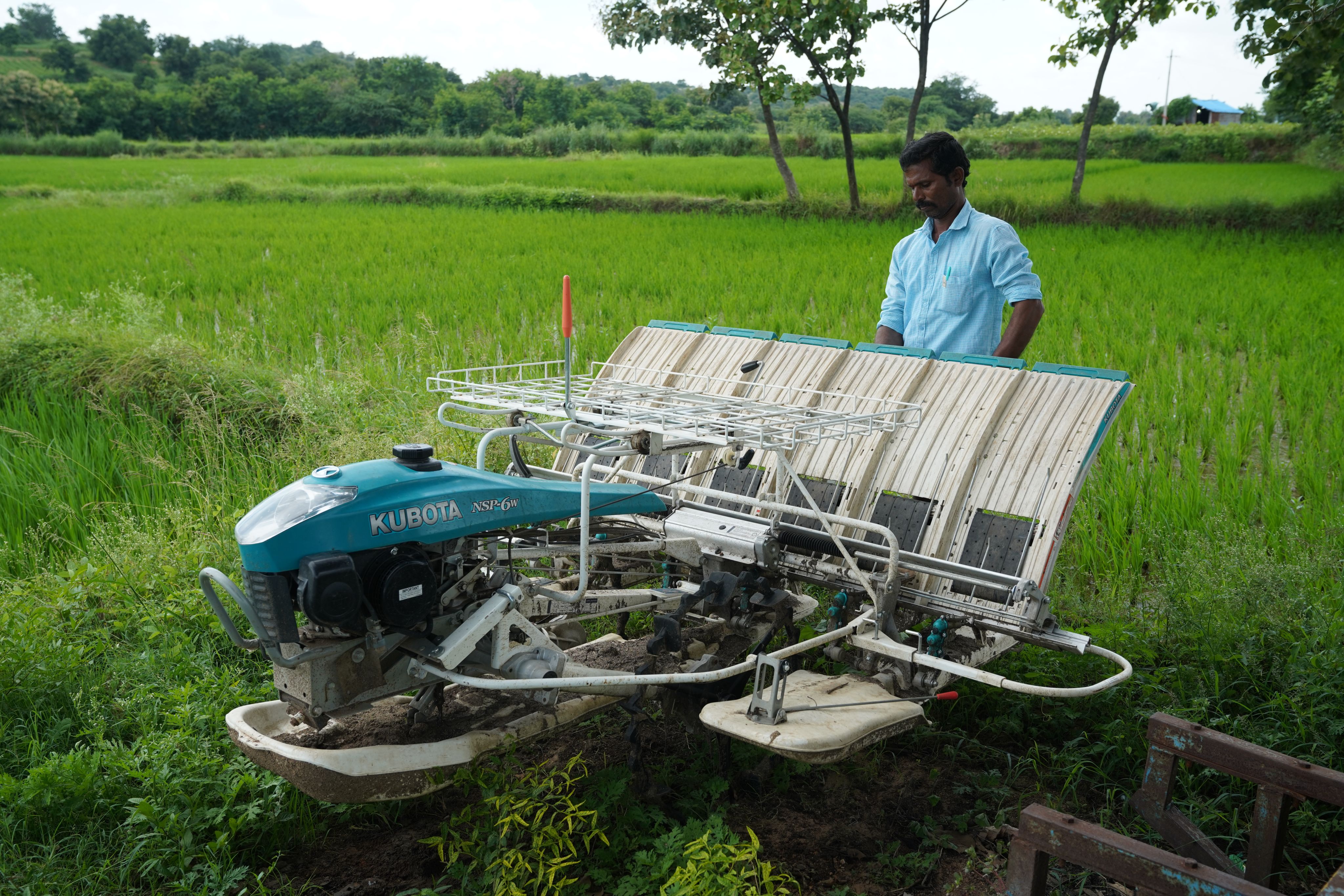 Kubota rice transplanter in a paddy field